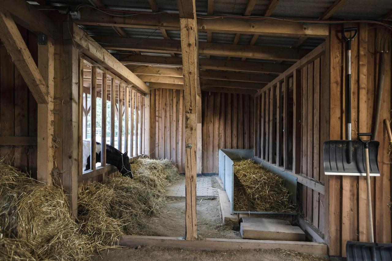 Ranchhouse Smoker- Westernstable - Horse Elterlein Экстерьер фото